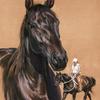 Itsy - Quarter Horse
18"x24"  pastel on La Carte Pastel -   
sold 