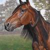 Explosive Matter(1) 
Standardbred trotting horse-
18"x24" Pastel on
 Wallis sanded paper
-sold