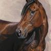 Explosive Matter(2)-
Standardbred trotting horse
18"x24"  Pastel with acrylic washed background on
Wallis sanded paper
-sold