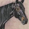 Pure Ivory- 
Standardbred trotting mare
18"x24" Pastel with acrylic washed background on Wallis sanded paper -sold