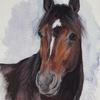 Wishing Stone- 
Standardbred trotting horse
14"x16" Pastel with acrylic washed background on Wallis sanded paper-sold