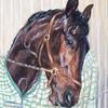 Reven Up - Standardbred trotting gelding - 12"x14" Pastel on La Carte Pastel -Private collection